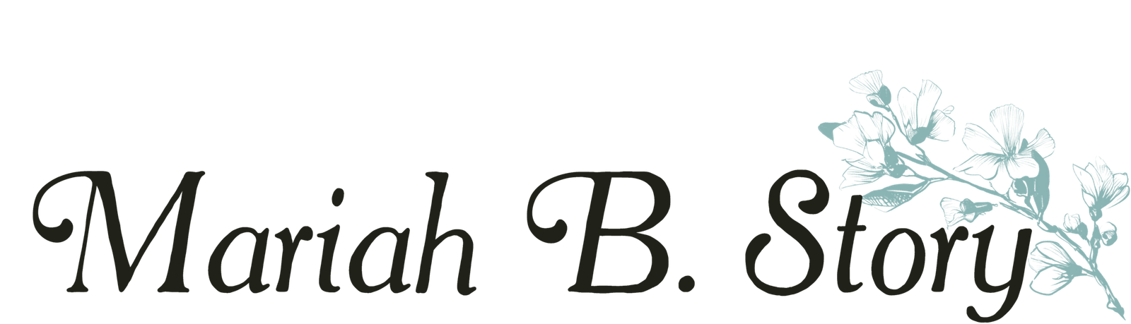 mariahbstory.com